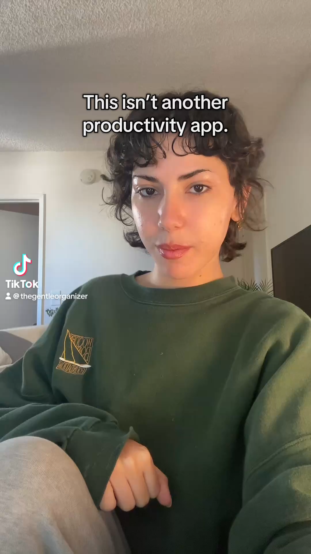 Before Vizzy optimization